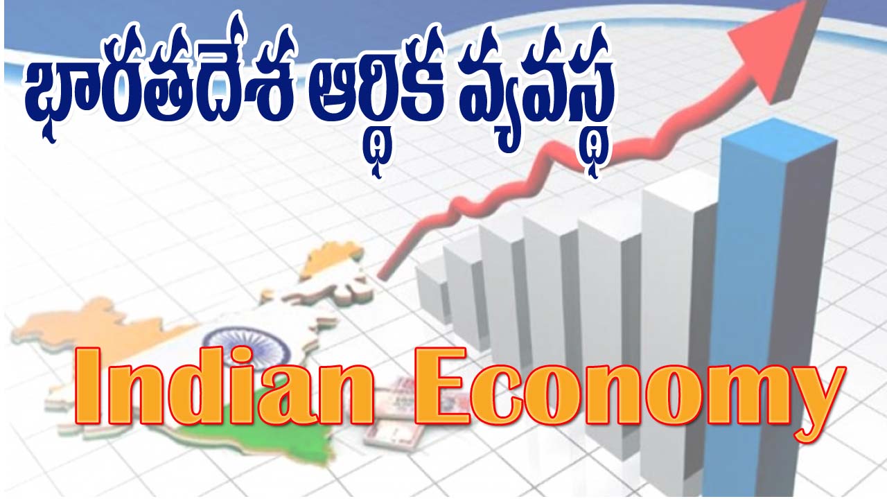 Indian Economy in Telugu